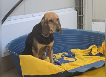 Paoluccia: wird sie noch einmal Geborgenheit spüren?