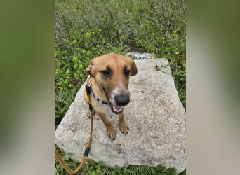 Veneranda: ihr Traum: nie mehr eingesperrt sein