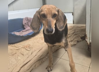 Paoluccia: wird sie noch einmal Geborgenheit spüren?