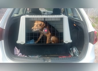 Spenck: wo darf ich hin?