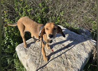 Lilli: sie muss man lieb haben