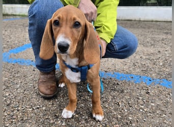 Nala Piccola: kleine Zuckerschnute