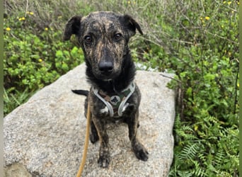 Frieda: ein echter Hingucker