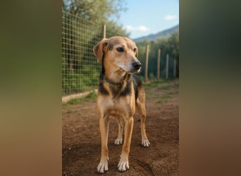 Spenck: wo darf ich hin?