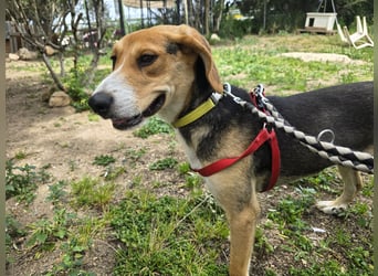 Venere: wird mein Leben bunt und schön?