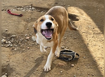 Billie: Hallo, hier bin ich!