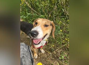 Venere: wird mein Leben bunt und schön?