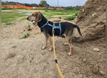 Paoluccia: wird sie noch einmal Geborgenheit spüren?