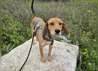 Lilli: sie muss man lieb haben