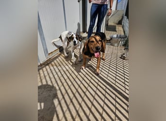 Fine: sie hat ganz viel Liebe zu geben