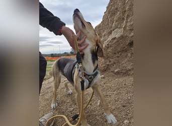 Venere: wird mein Leben bunt und schön?