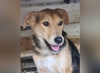 Spenck: wo darf ich hin?