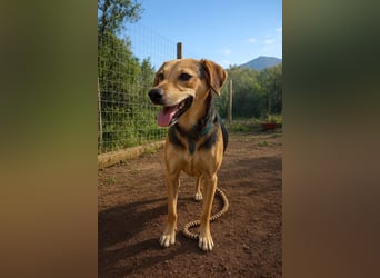 Spenck: wo darf ich hin?