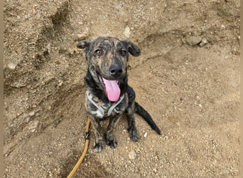 Frieda: ein Schatz für "überall mit dabei"