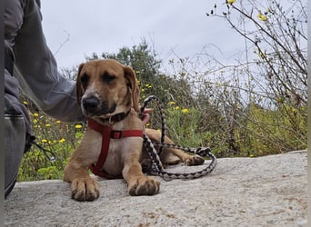 Veneranda: ihr Traum: nie mehr eingesperrt sein