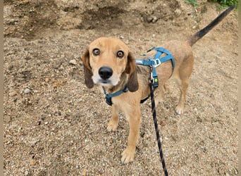 Lilli: sie muss man lieb haben