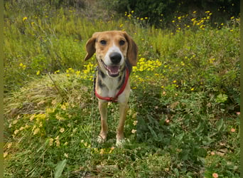 Venere: wird mein Leben bunt und schön?