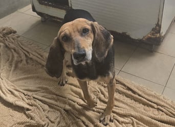 Paoluccia: wird sie noch einmal Geborgenheit spüren?