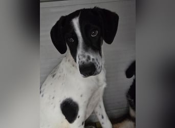 Castagna: sehnt sich nach Freiheit