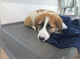 Eveline: bereit für ihre eigene Familie