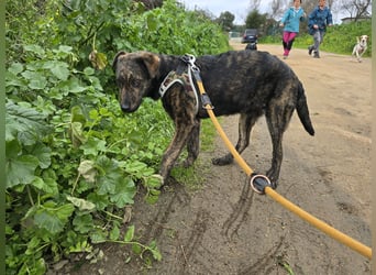 Frieda: ein echter Hingucker