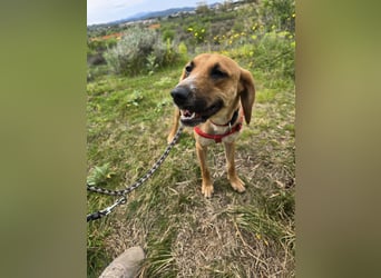 Veneranda: ihr Traum: nie mehr eingesperrt sein