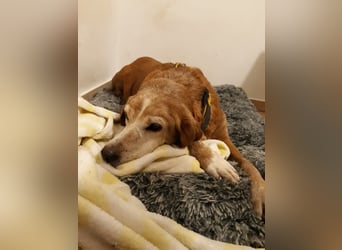 Perla: wer hätte das gedacht?