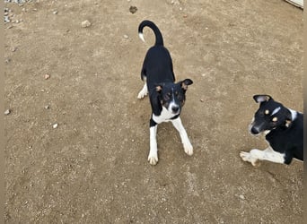 Argo: ein Schatz für die ganze Familie