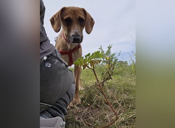 Veneranda: ihr Traum: nie mehr eingesperrt sein