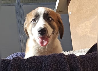 Eveline: bereit für ihre eigene Familie