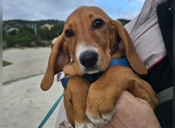 Nala Piccola: kleine Zuckerschnute