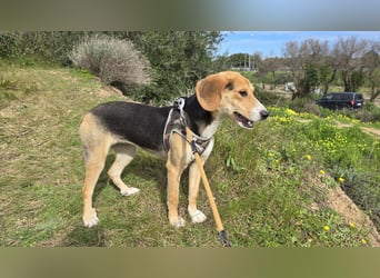 Venere - braucht ganz viel Geborgenheit