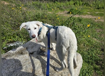 Lilli: sie muss man lieb haben