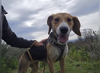 Venere: wird mein Leben bunt und schön?