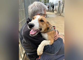 Billie: Hallo, hier bin ich!