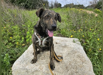 Frieda: ein echter Hingucker