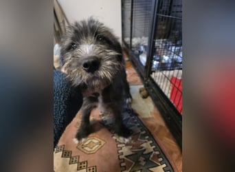 Astra: bereit für ihre eigene Familie