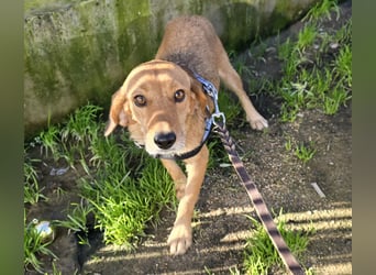 Lilli: sie muss man lieb haben