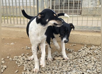 Argo: ein Schatz für die ganze Familie