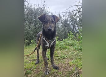 Frieda: ein Schatz für "überall mit dabei"