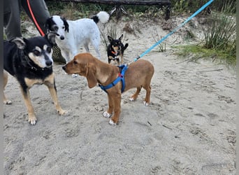 Nala Piccola: kleine Zuckerschnute