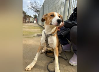 Billie: Hallo, hier bin ich!