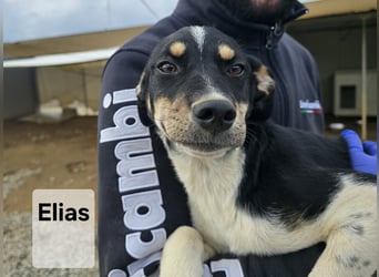 Argo: ein Schatz für die ganze Familie