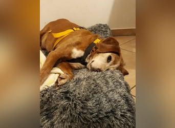 Perla: wer hätte das gedacht?