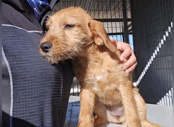 Simona: Lebensfreude pur