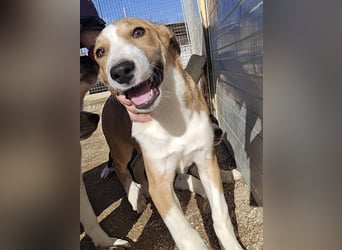 Billie: Hallo, hier bin ich!