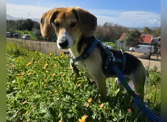 Venere - braucht ganz viel Geborgenheit