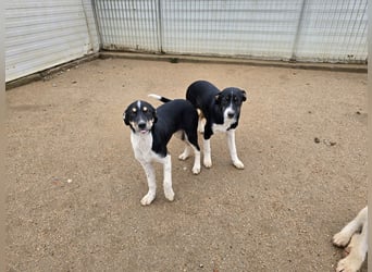 Zero: ein Schatz für die ganze Familie