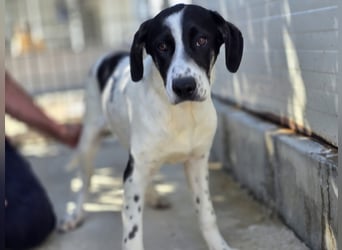 Castagna: sehnt sich nach Freiheit