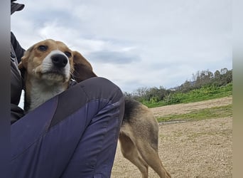 Venere - braucht ganz viel Geborgenheit